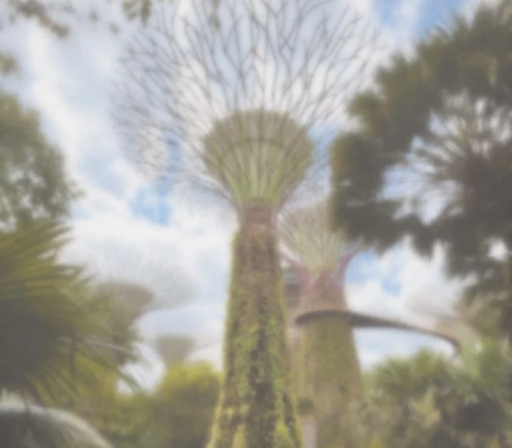 Garden scene seen through blurred, cloudy vision